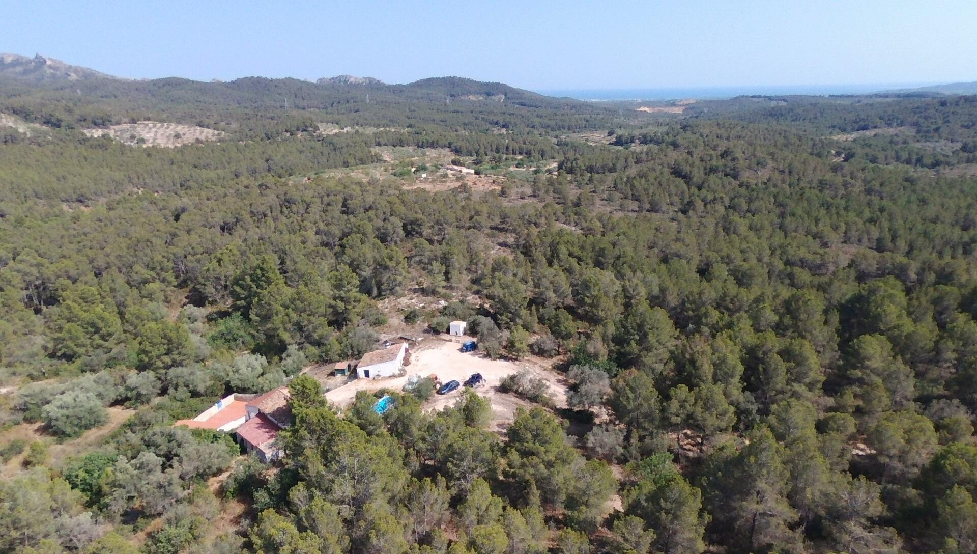 Exclusiva finca rústica de 350.000 m2 en Tivissa, a 10 km de - foto 3