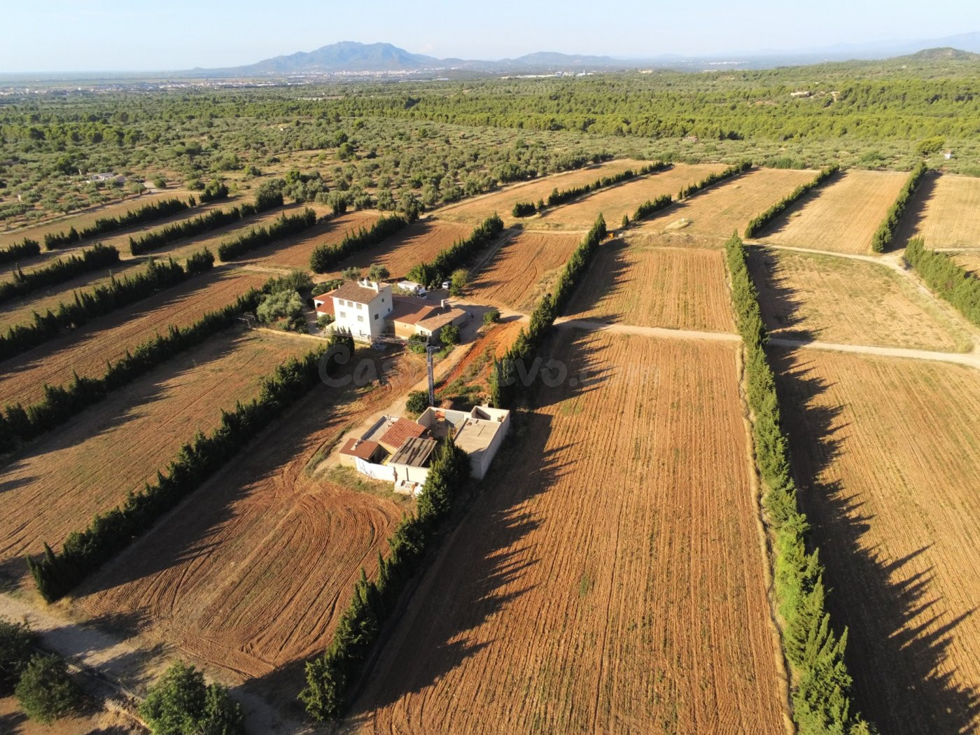 Gran Finca de cultivo de regadío de 23 Has con 3 viviendas y 2 almacenes, entre otras