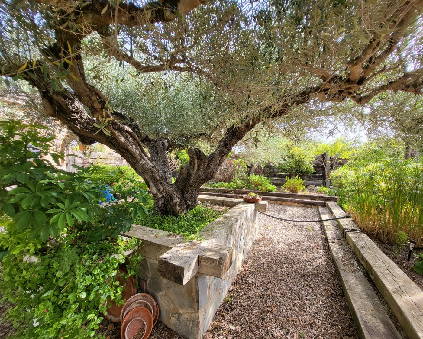 Magnífica Finca plana y ajardinada, con casa unifamiliar de  - foto 4