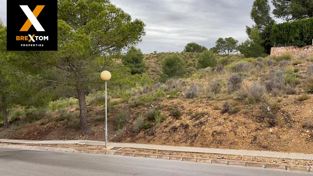 TERRENO URBANIZABLE EN ALTORREAL 876 M2