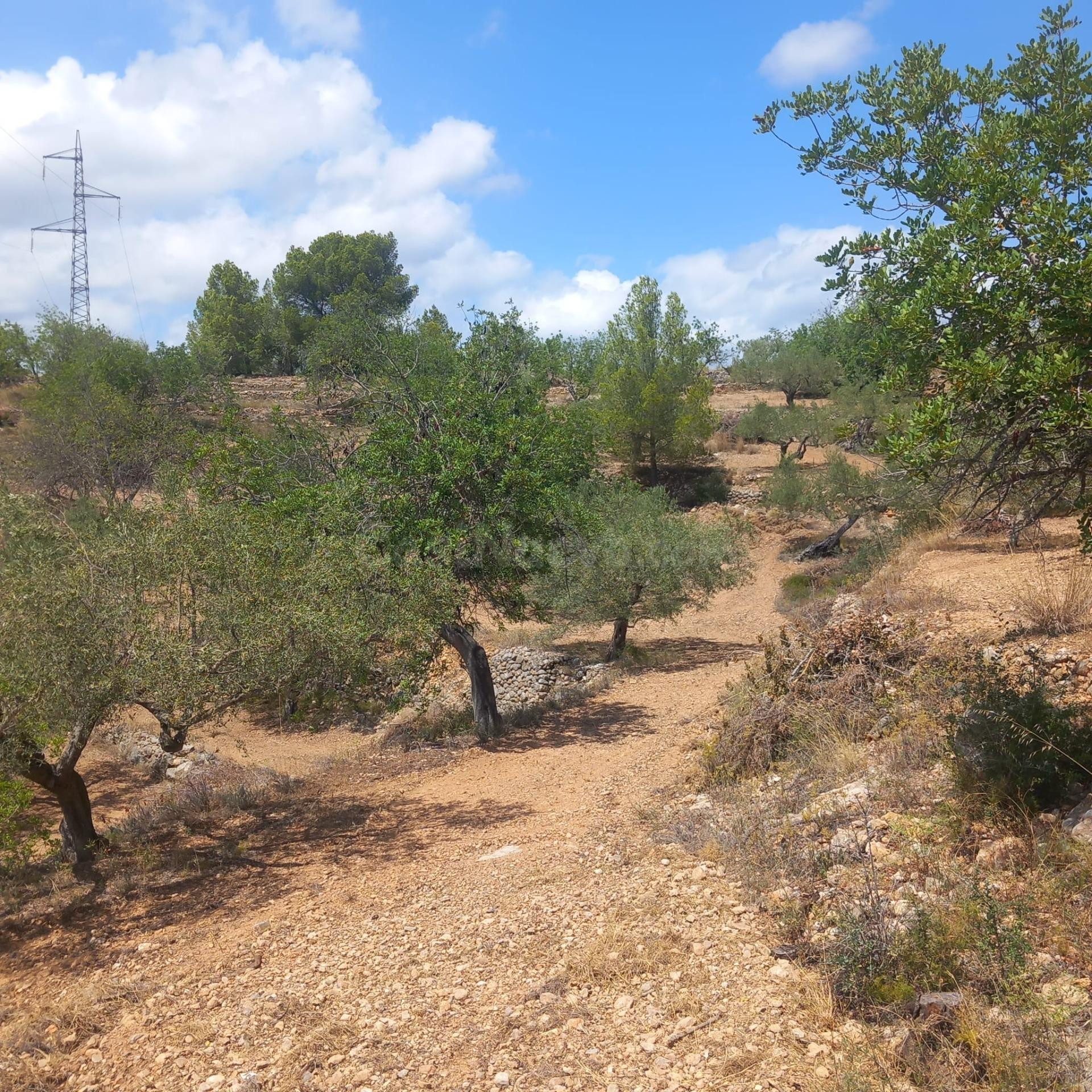 Finca Rústica en Tortosa: Tu Paraíso Natural - foto 5