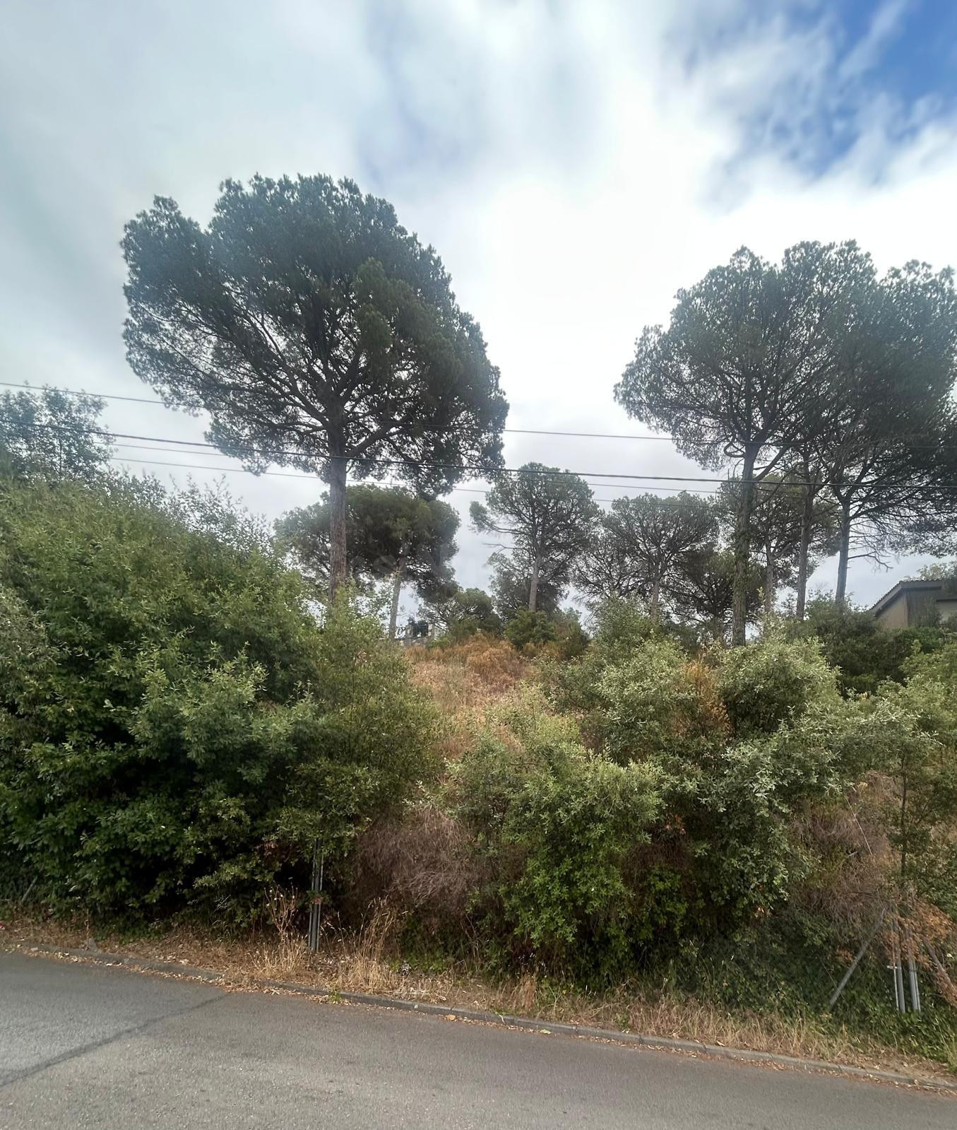 Terreno en Can Massuet