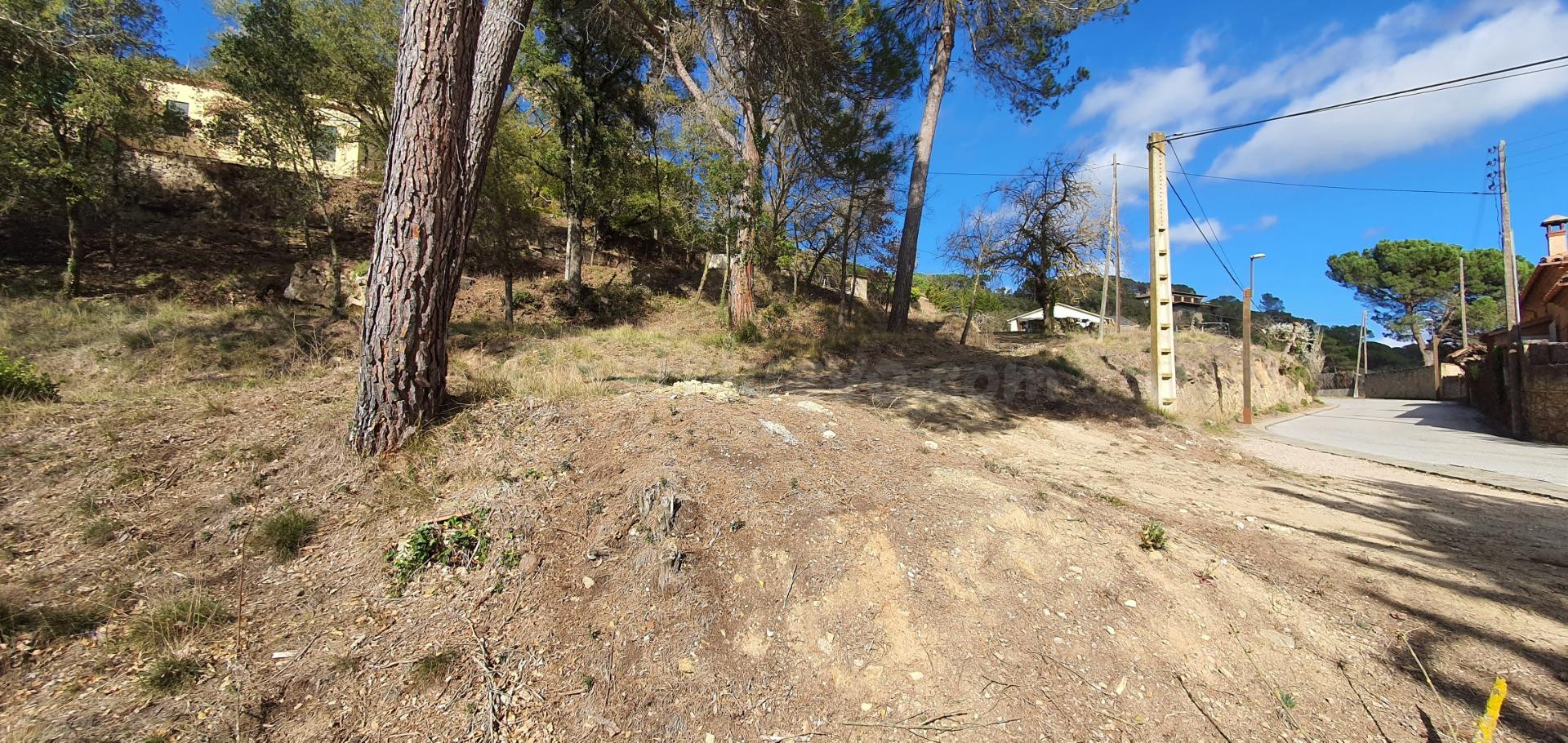 Tres parcelas muy llanas a punto de edificar
