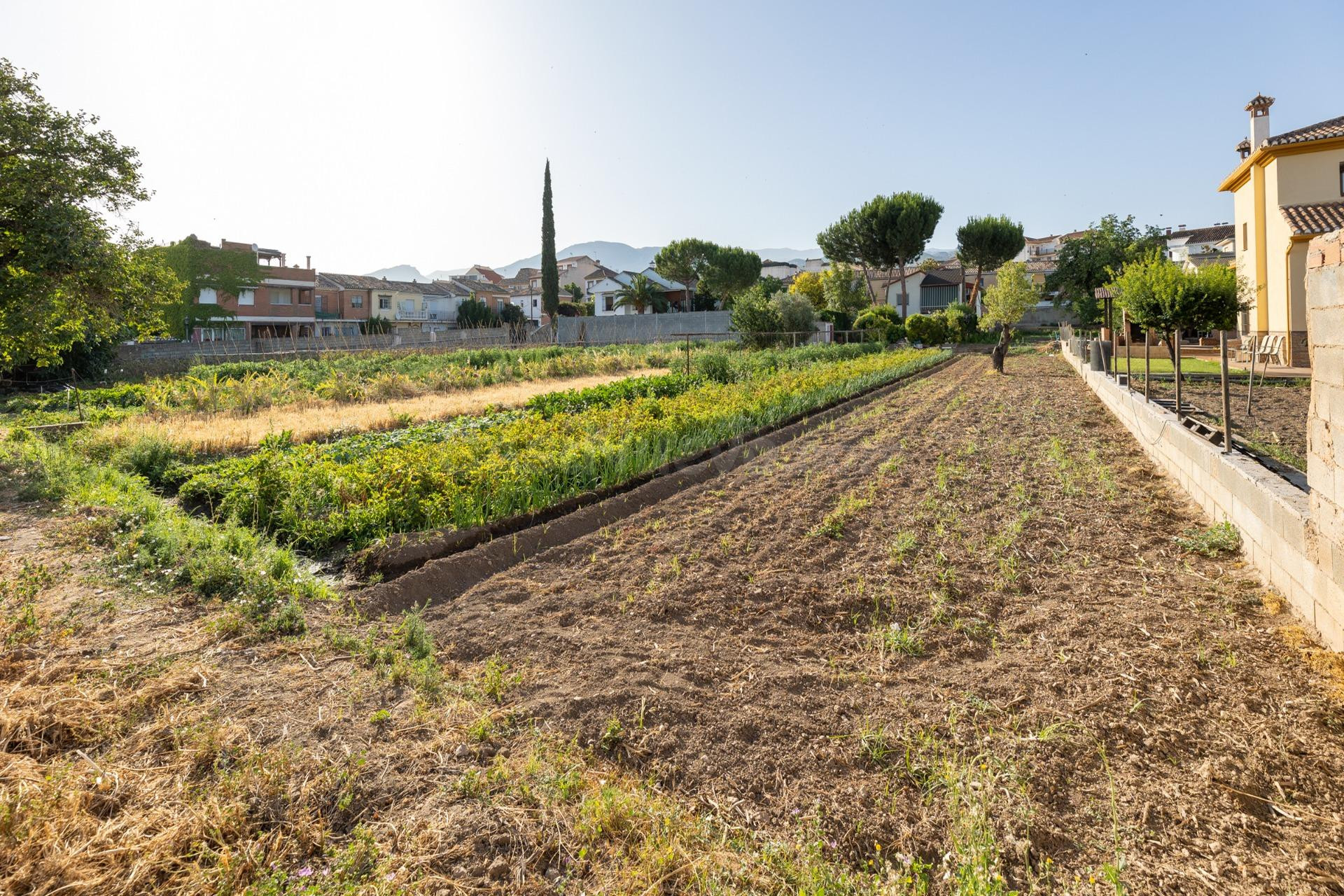 TERRENO URBANO 1060m EN LA ZUBIA