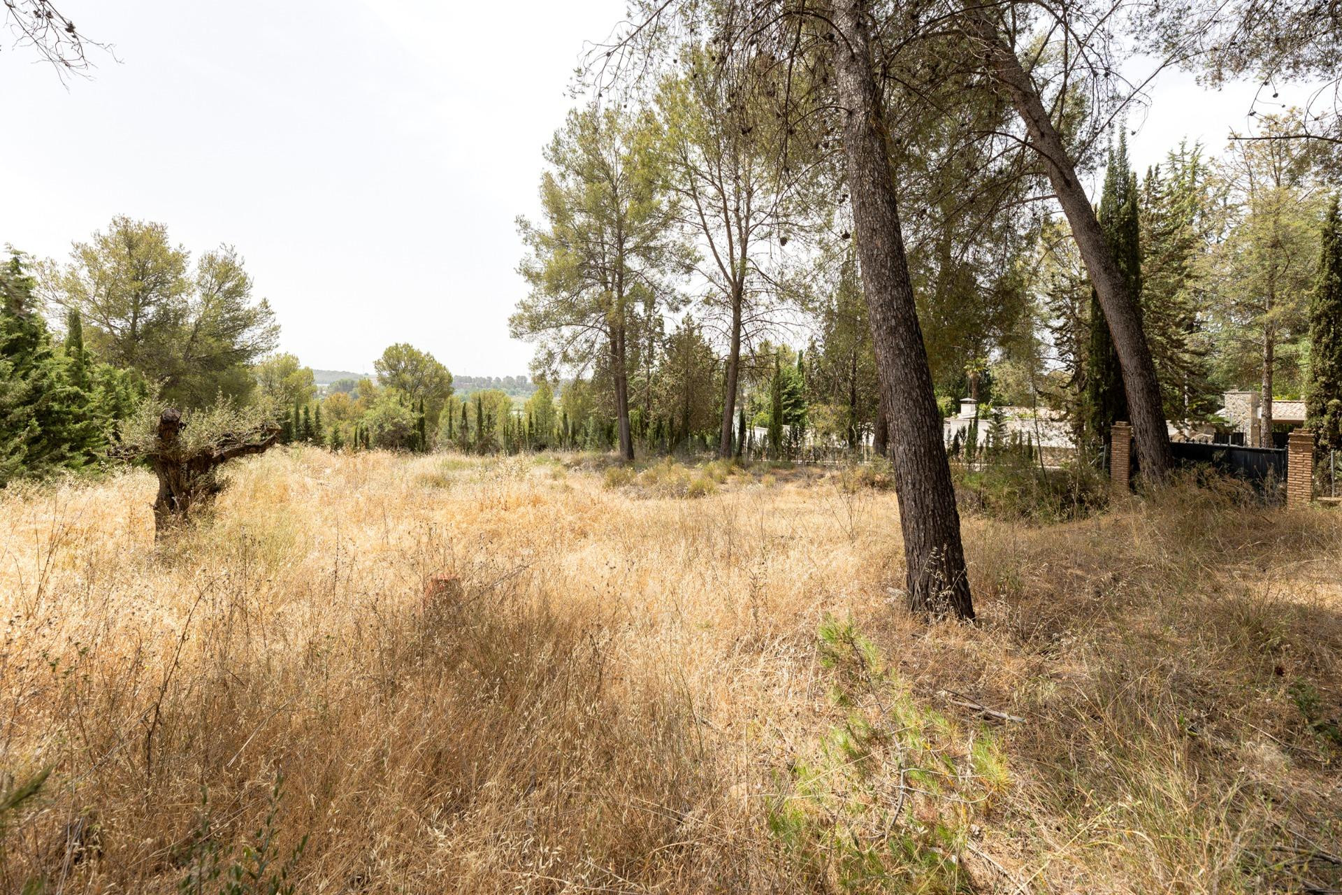 EXCLUSIVO TERRENO EN VENTA EN ALBOLOTE