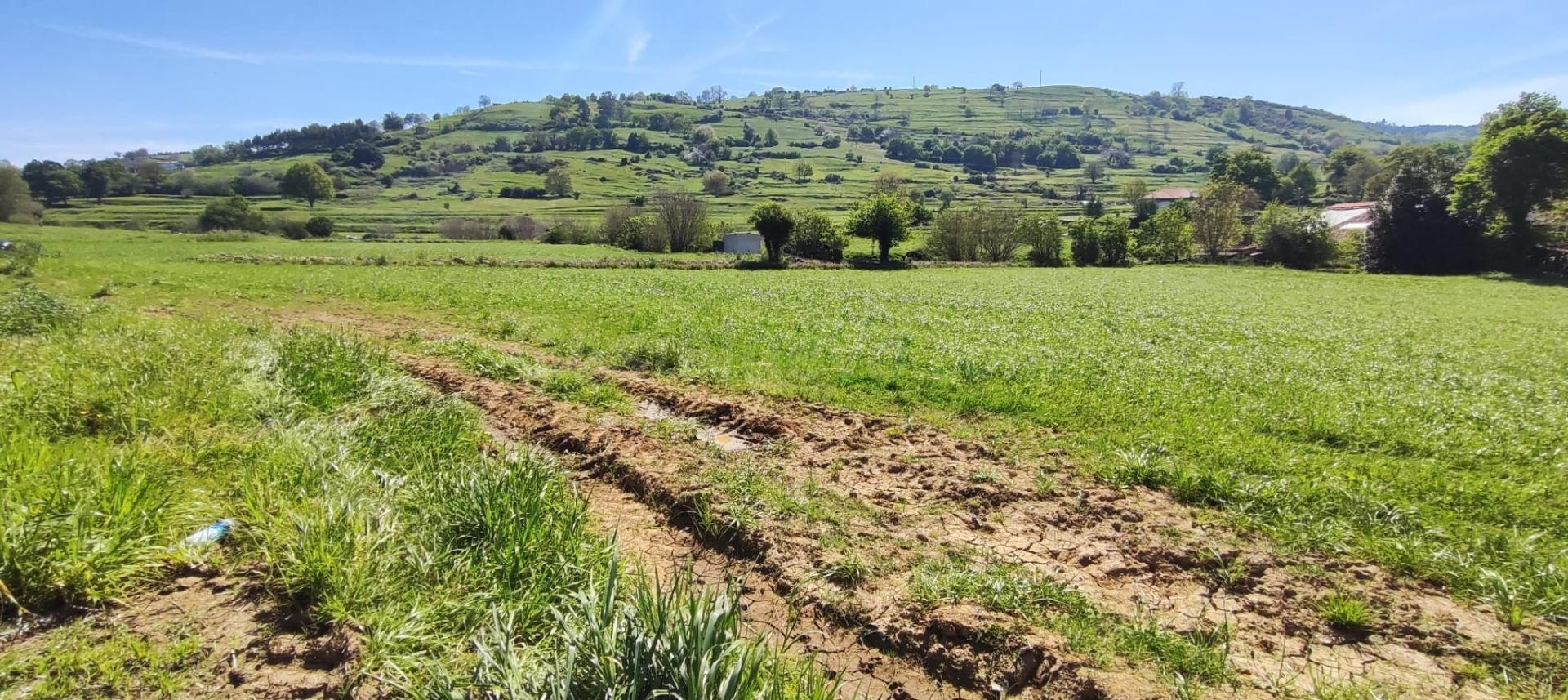 TERRENO DE  6.696 M2. EN LA ZONA DE TORANZO.-