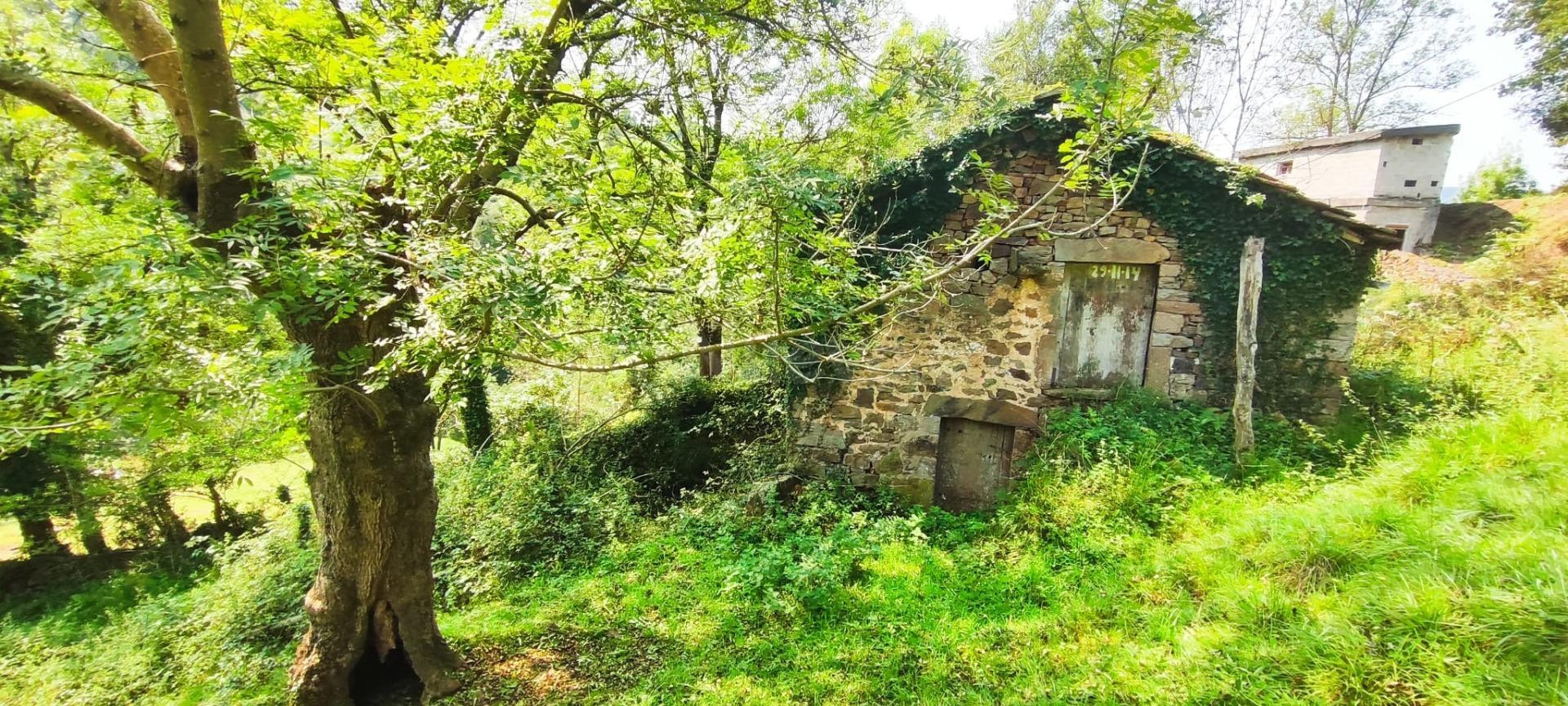 CABAÑA PARA REFORMAR EN EL CORAZÓN SELAYA.-