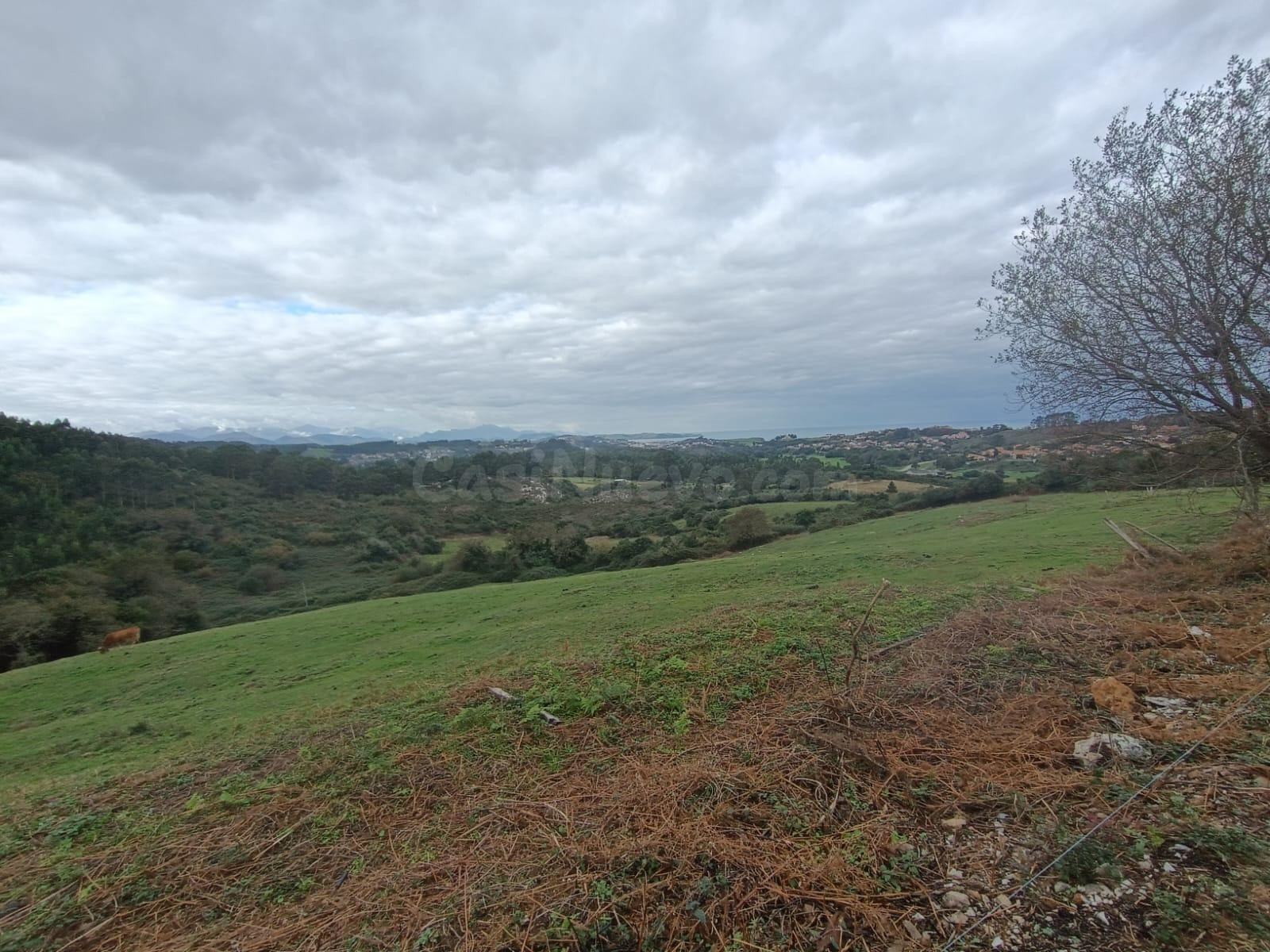 MÁS DE 5 Ha. DE NATURALEZA EN RUILOBA.-