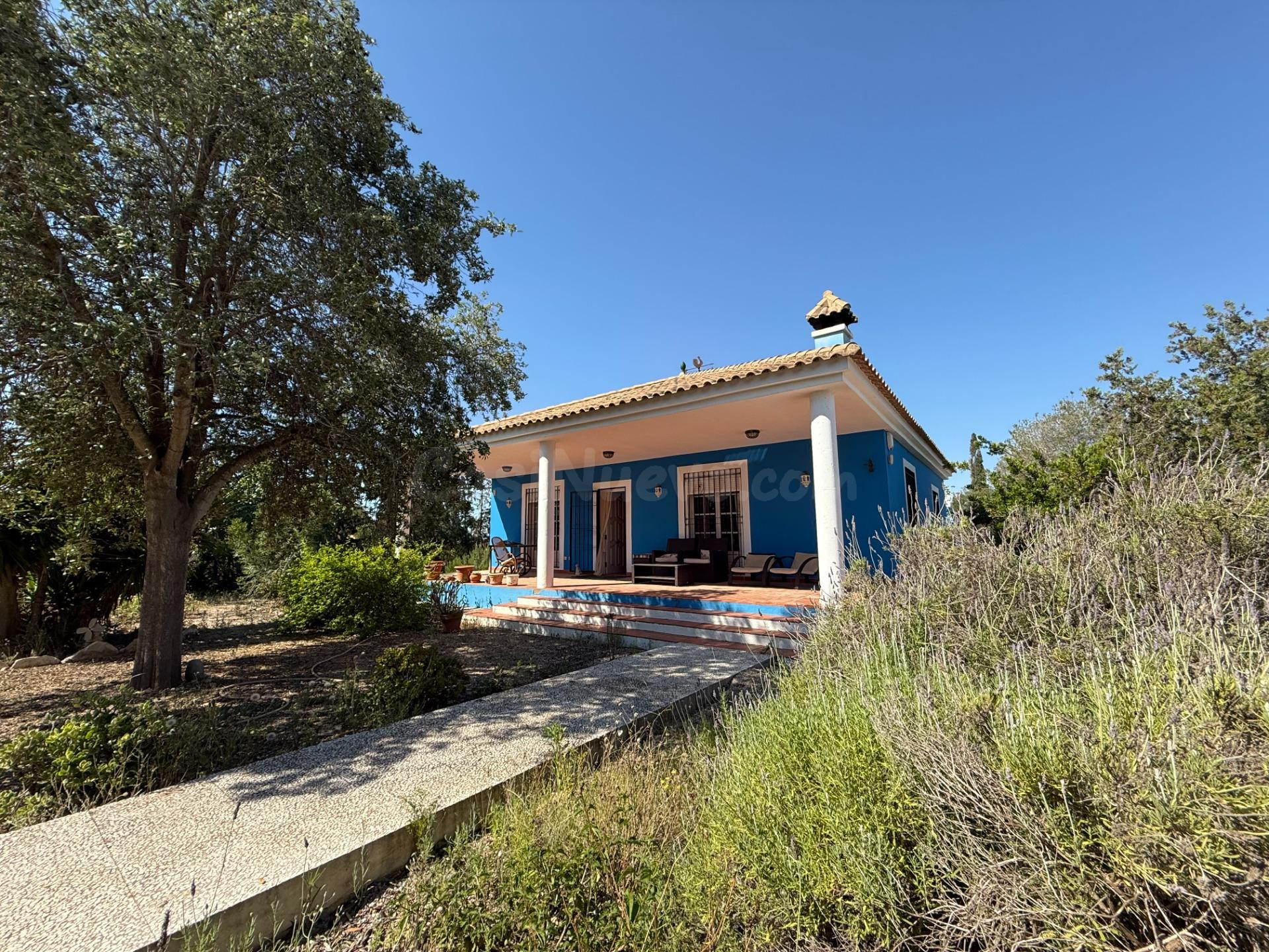 OFH-274 VALLE DEL SOL BLUE