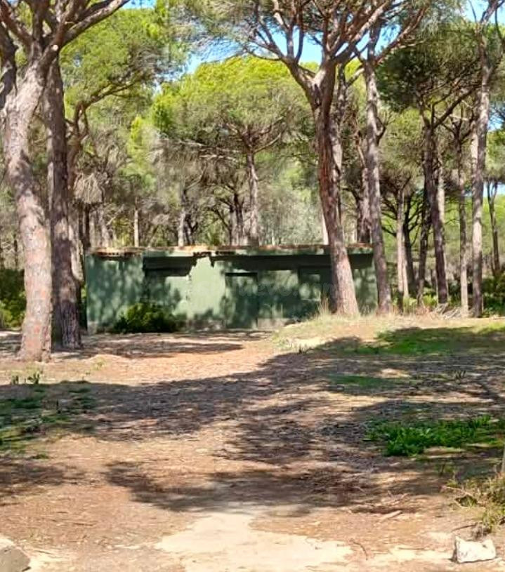 TERRENO CON CONSTRUCCIÓN EN PINAR DE HIERRO