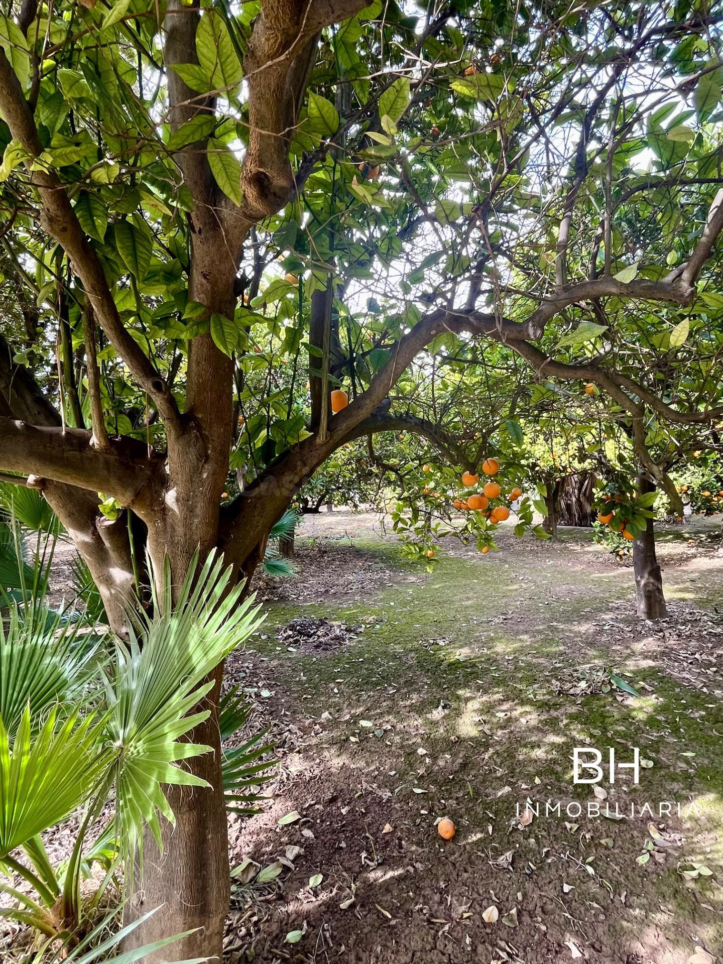 Terreno rural en zona residencial