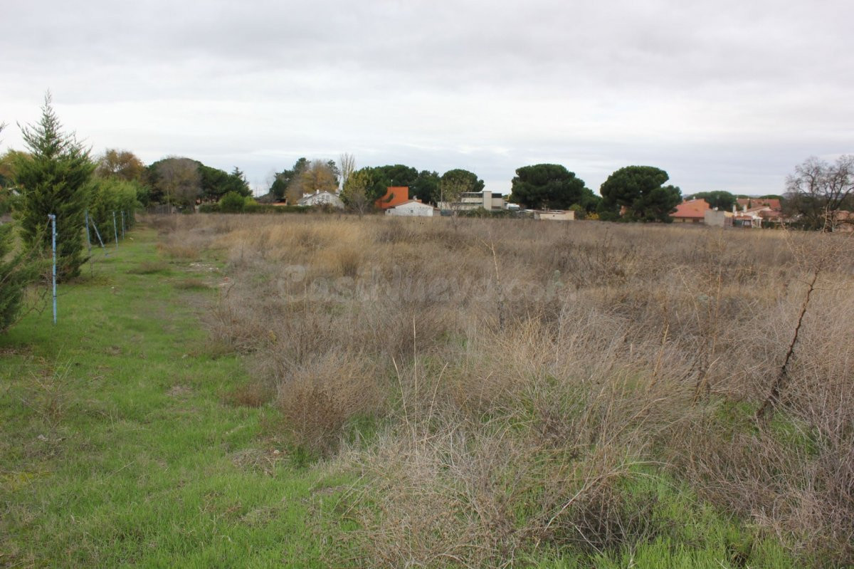 VENTA de TERRENO en Tudela de Duero