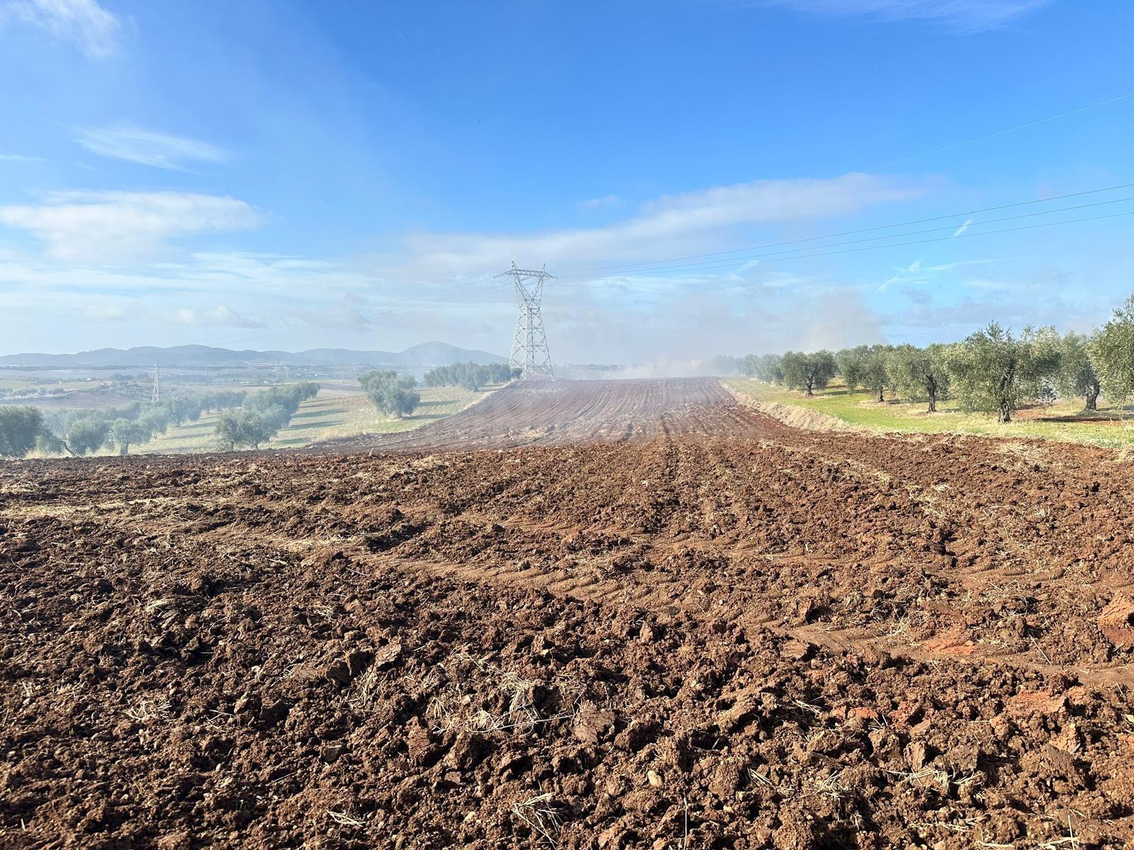 VENTA SUELO RUSTICO- ARABLE DE 51.400 M2, EN BODEGONES - SALESIANOS MERIDA