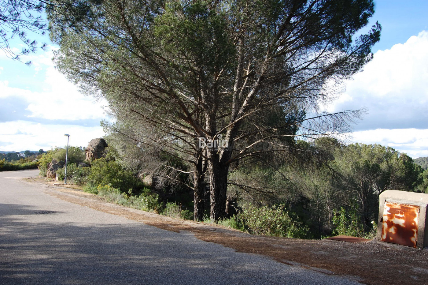 preciosa parcela en la jaras¡¡¡¡¡