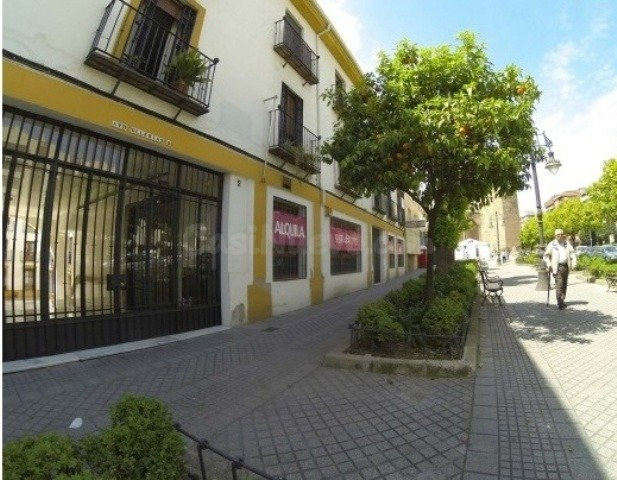 Junto a plaza de Colón