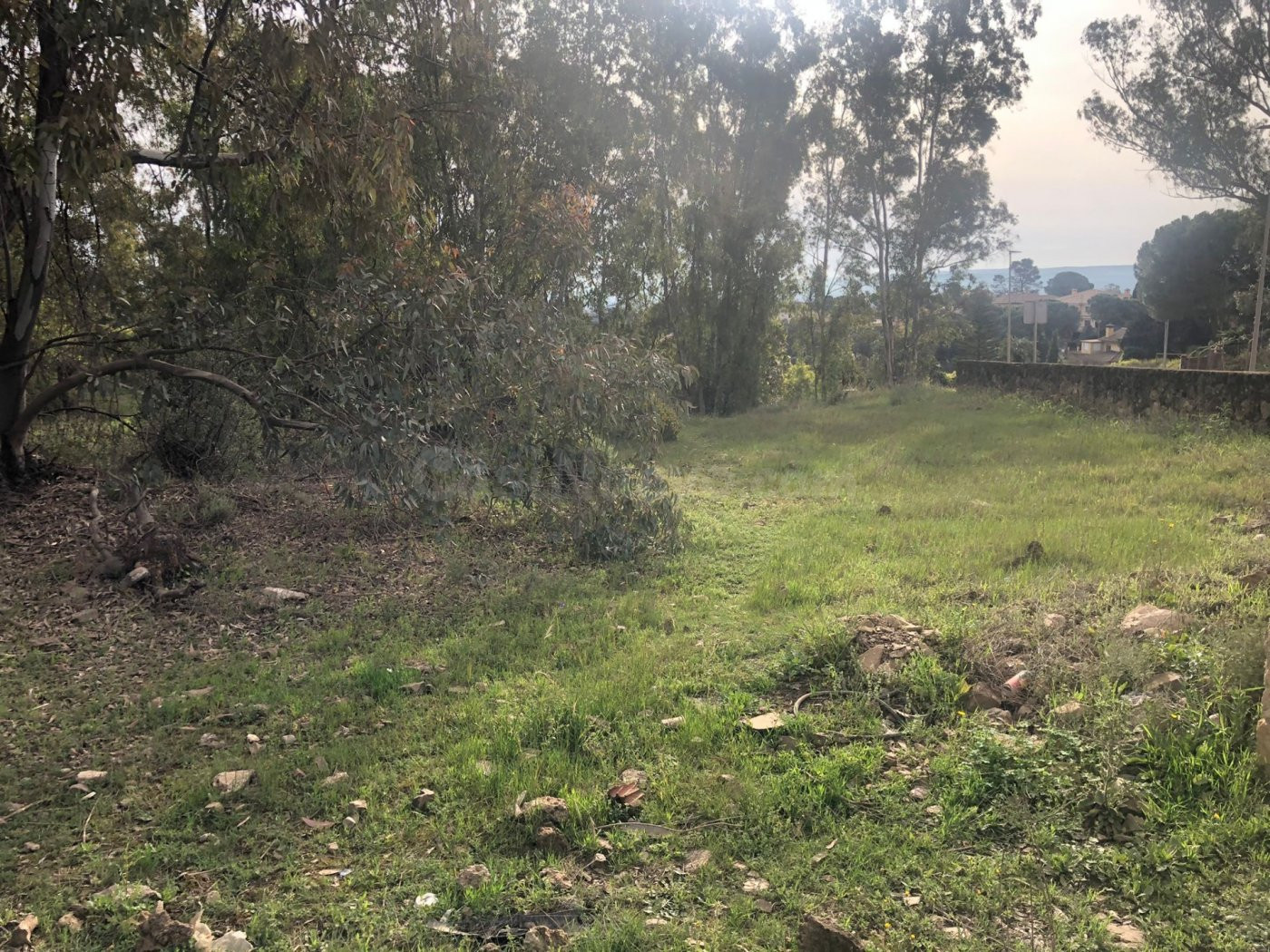 Gran parcela en la zona del Brillante..