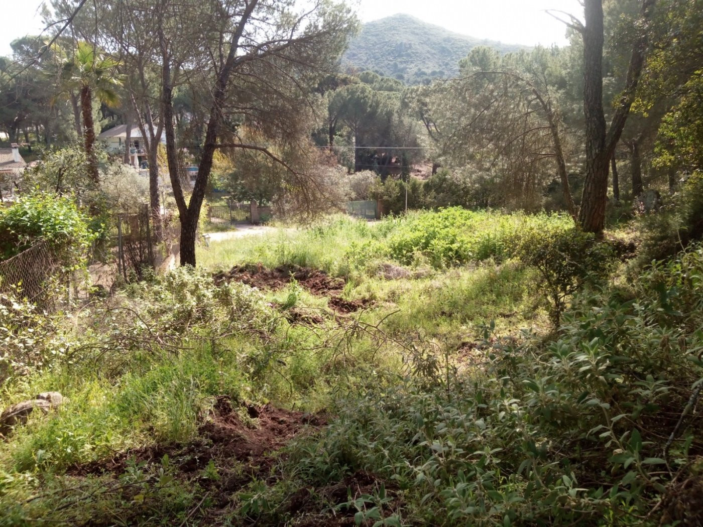 TERRENO EN LAS JARAS !!!!