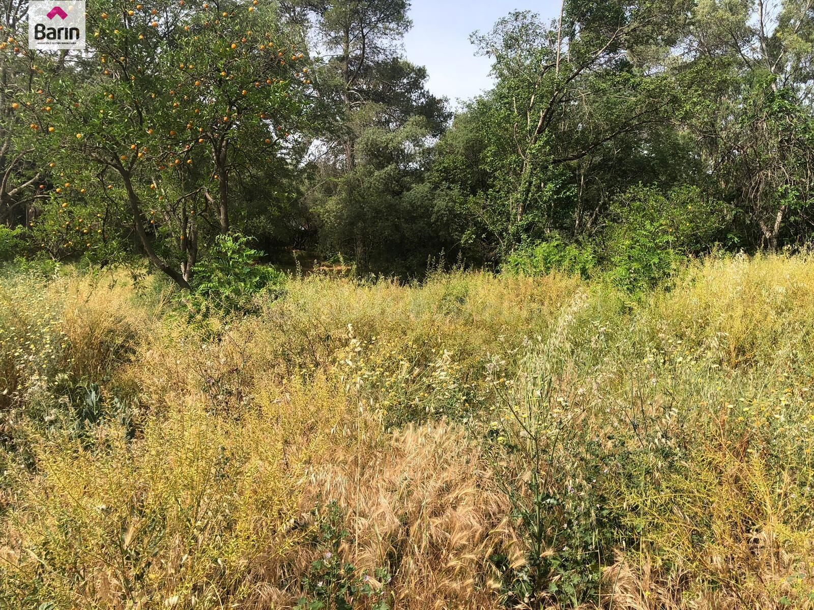Terreno segregable en el brillante