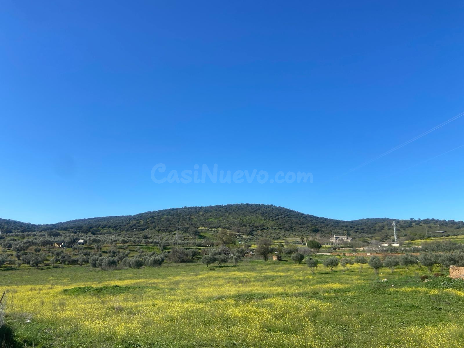 Negocio y vivienda en Belmez