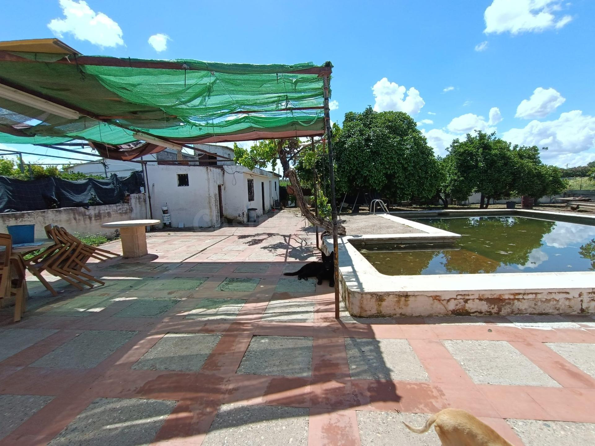 Parcela rustica  con casa en las Quemadas¡¡¡¡¡¡