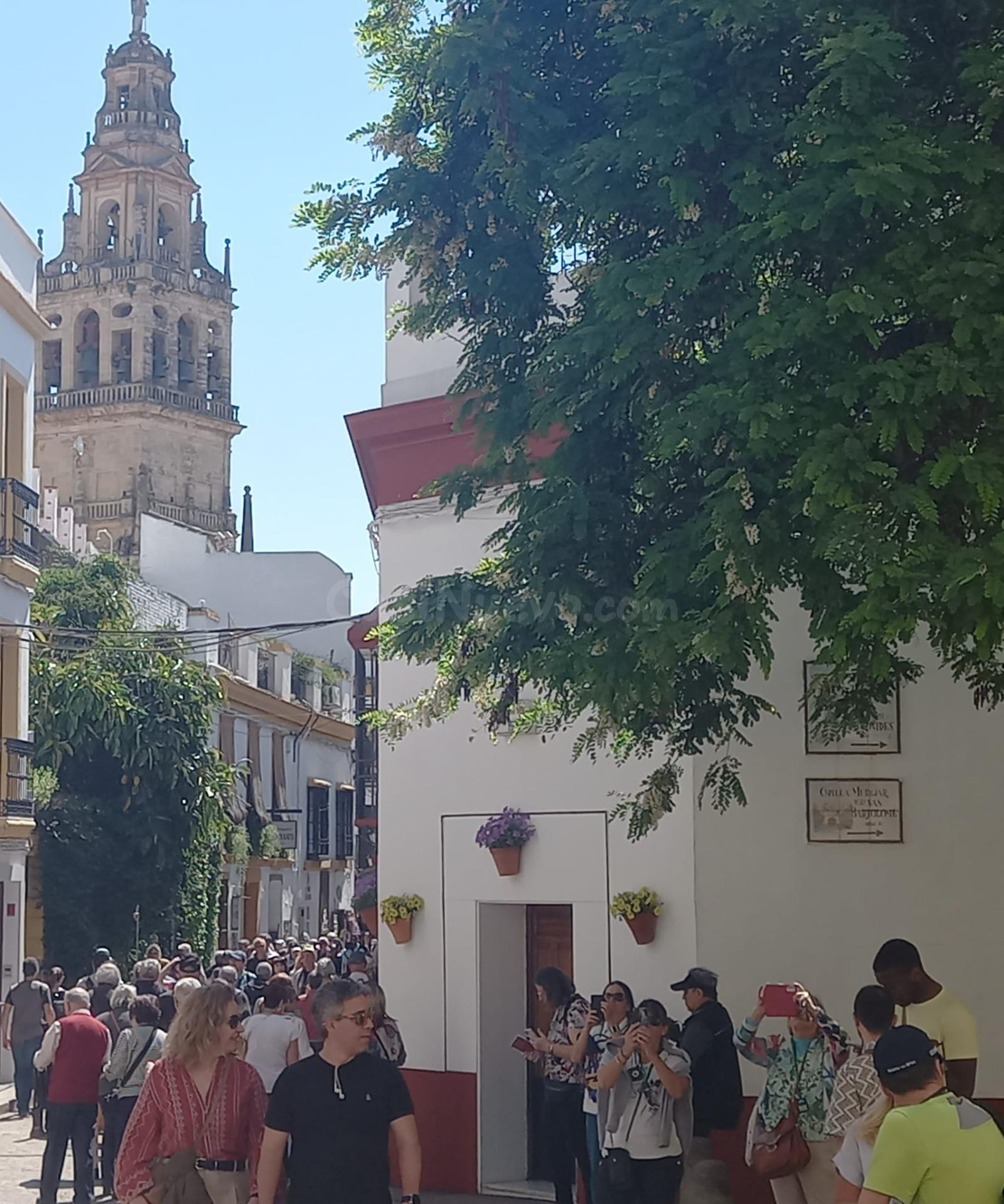 Casa para negocio en plena Juderia¡¡¡