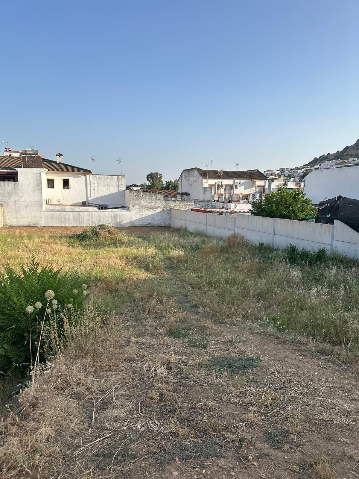 TERRENO URBANO EN ALMODOVAR DEL RIO IDEAL PARA PROMOCION DE VIVIENDAS