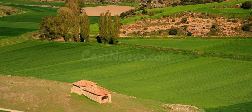 Se vende parcela en la Montaña con Casa semireformada