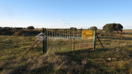 Se vende Finca en la Carretera de Badajoz