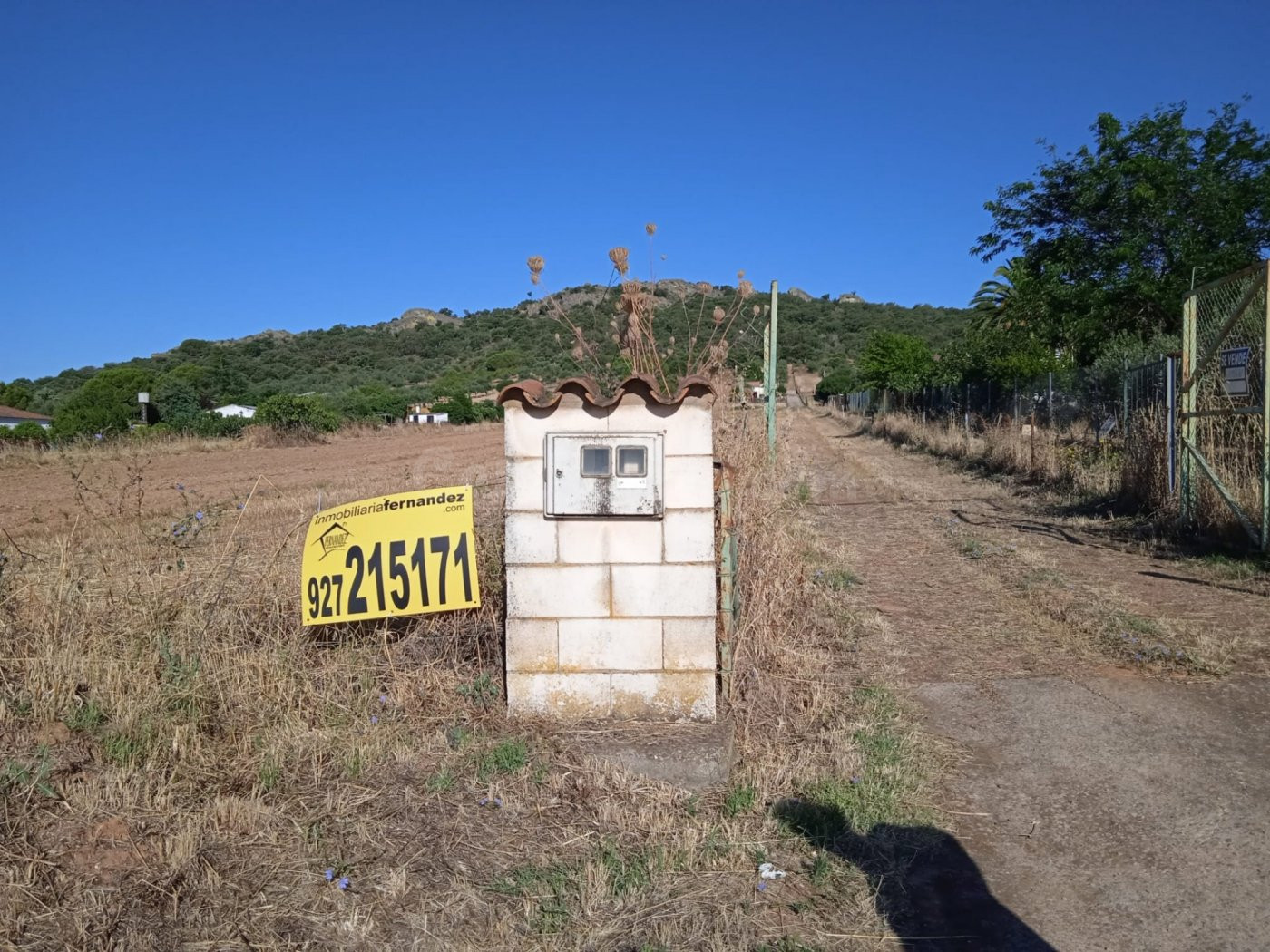 Parcela 2.500 m2, con acceso directo carretera.