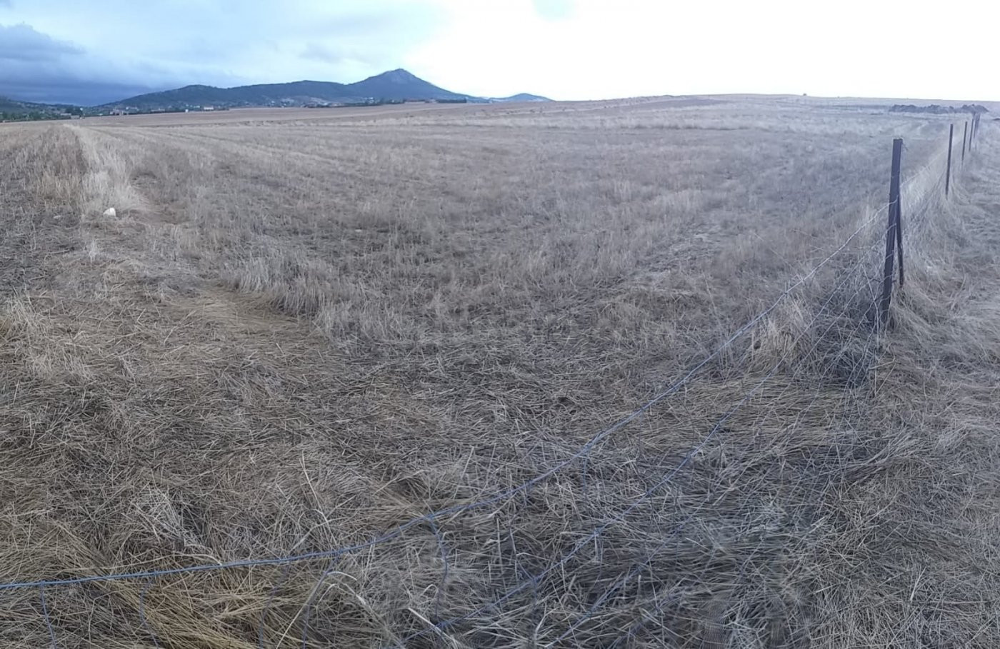 Parcela de 6100 m2 al lado del cordel en Sierra de Fuentes
