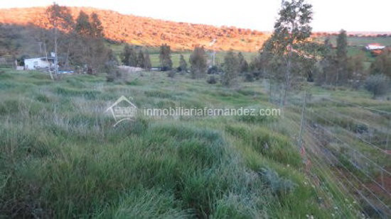 OPORTUNIDAD!! Parcela de 2500m2 totalmente vallada en ARROPEZ a 5 minutos CACERES.