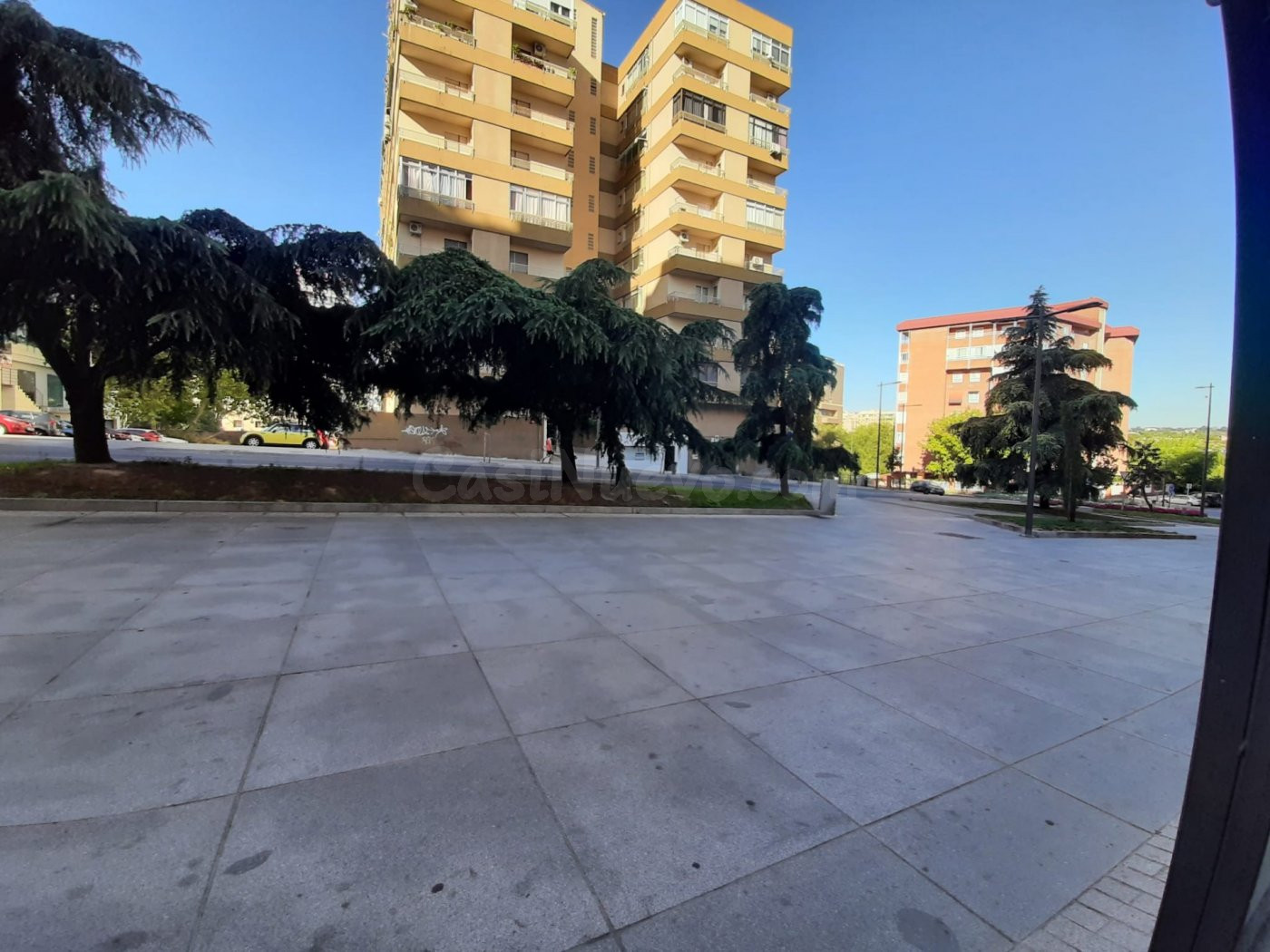Local con muchas posibilidades