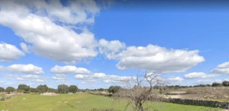 ESTUPENDA PARCELA EN ALDEA DEL CANO