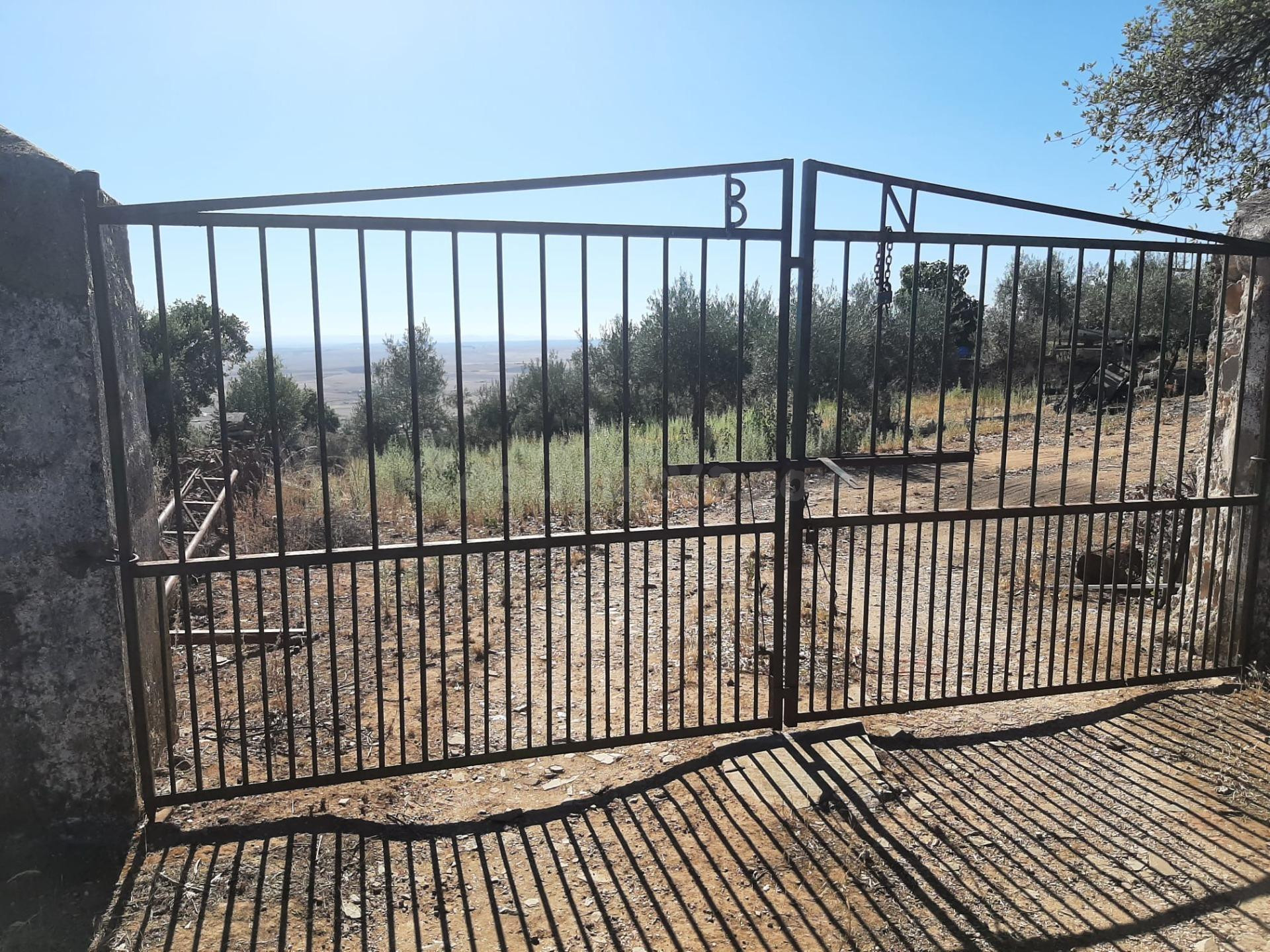 Precioso Olivar en Sierra de Fuentes