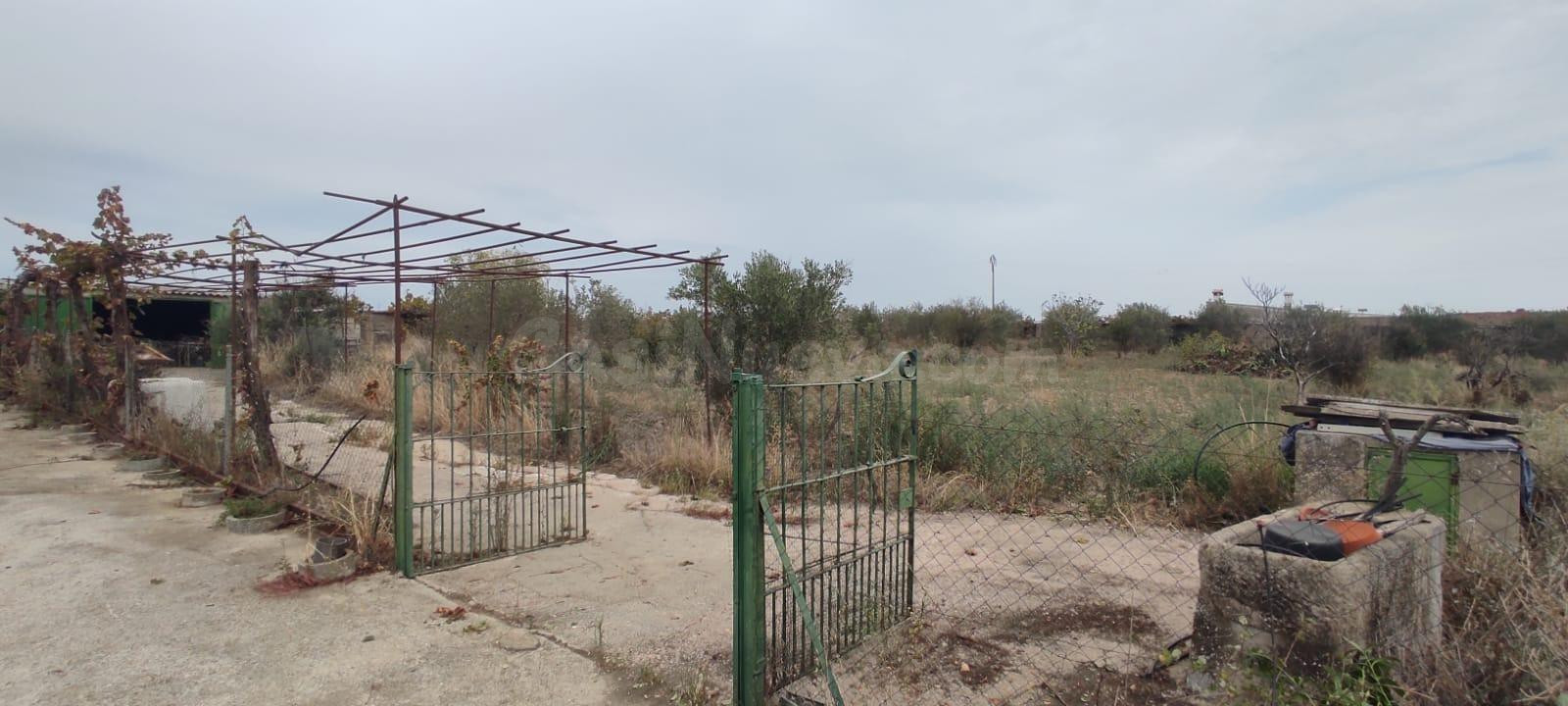 Chalet con 6500m de parcela en Torremocha - foto 4