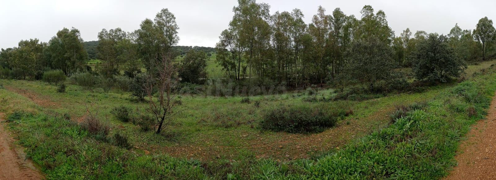 Bonita parcela en Cerro Arropéz 3.400 m2