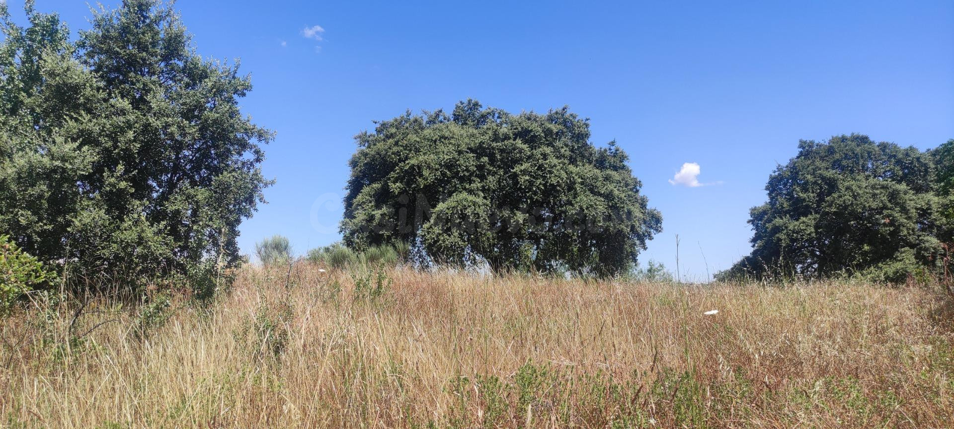 ¡Terreno de 2800 m2 en zona ermita!