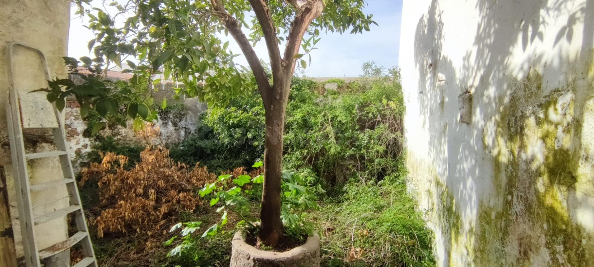 ¡¡Enorme casa con gran patio!!