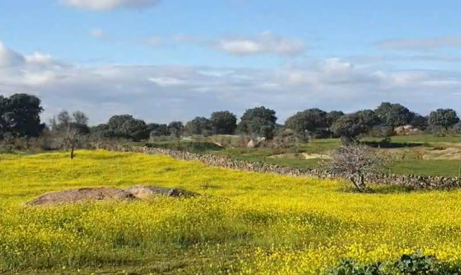 ¡¡Finca rústica de 250.000 m2!!