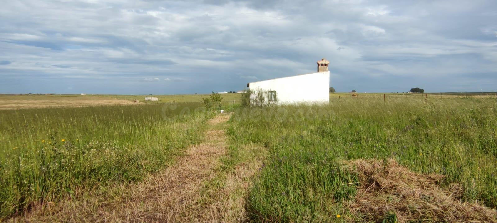 ¡Casa de 88m2 con 14000 m2 de terreno!
