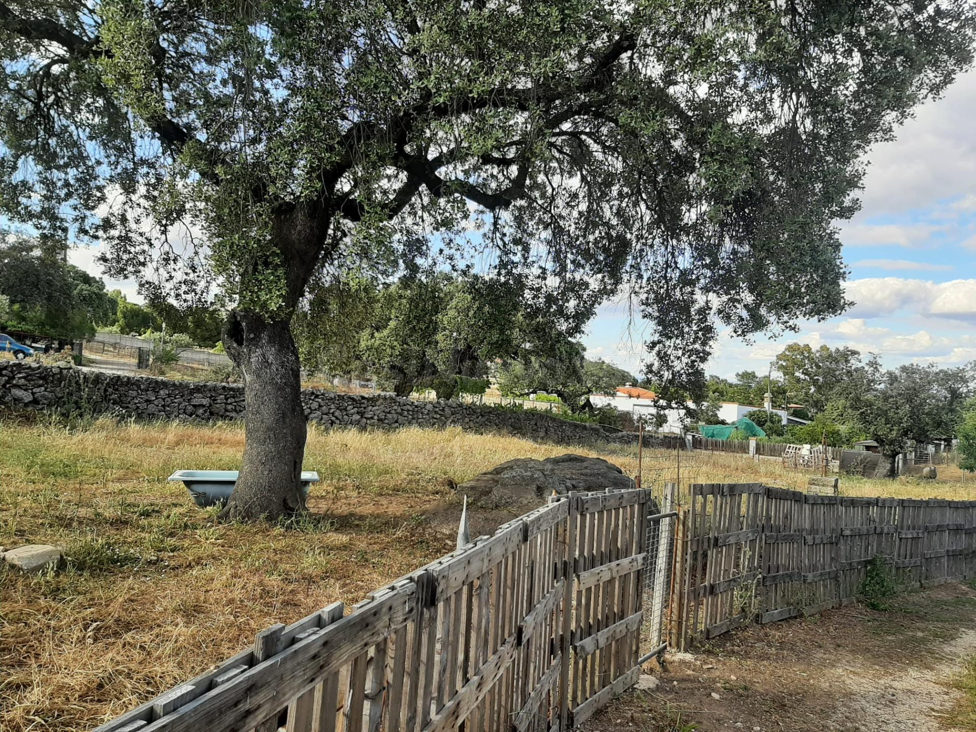Terreno en el Monte del Casar