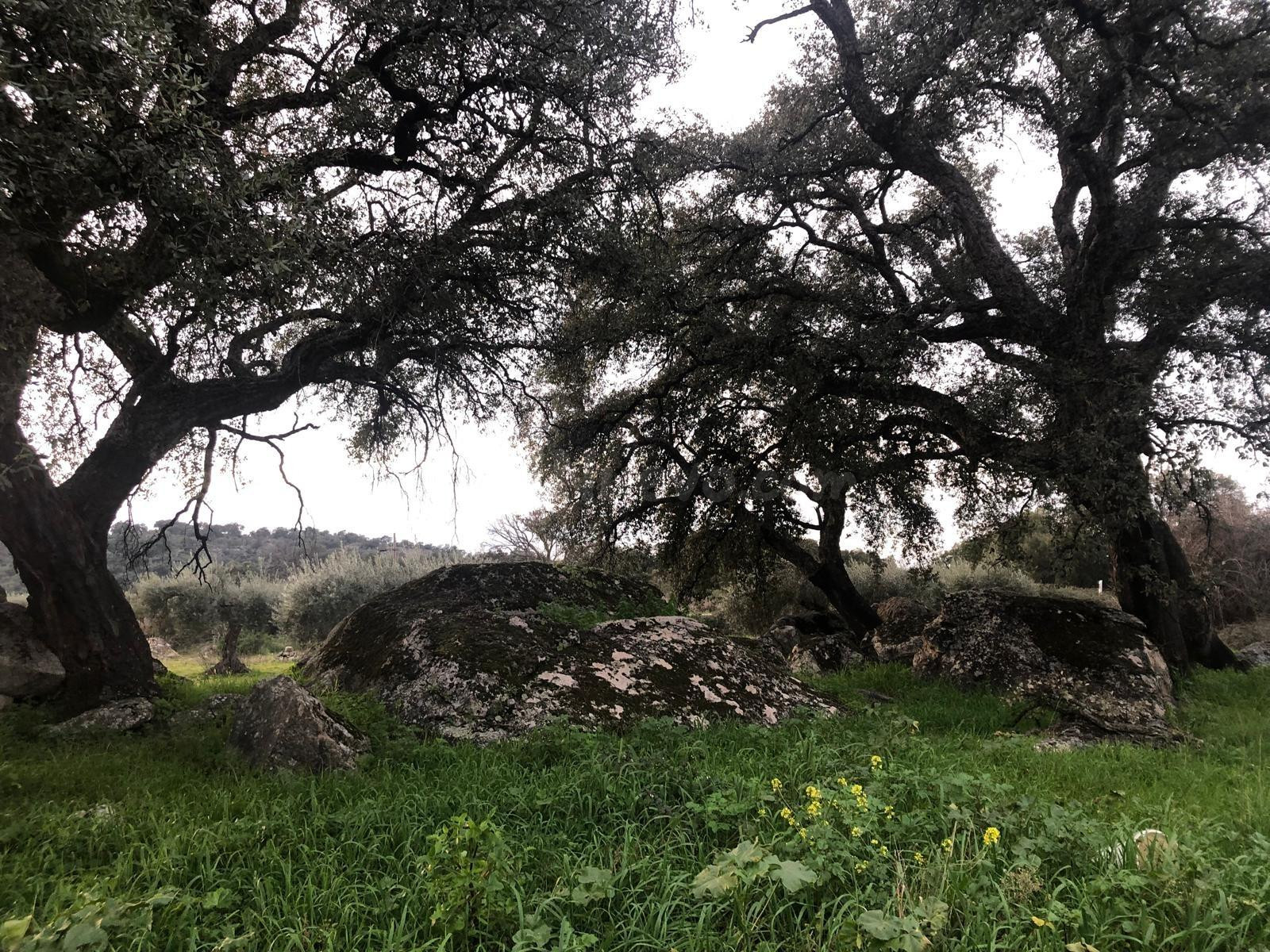 Finca en Montánchez