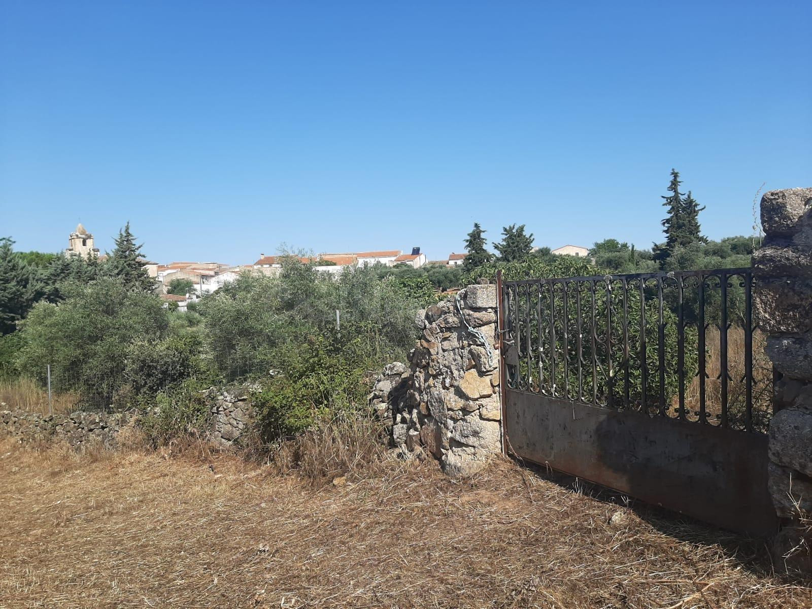 Parcela muy próxima al pueblo de Casas de Don Antonio