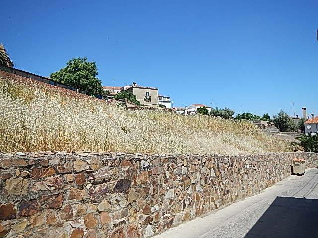 Gran parcela