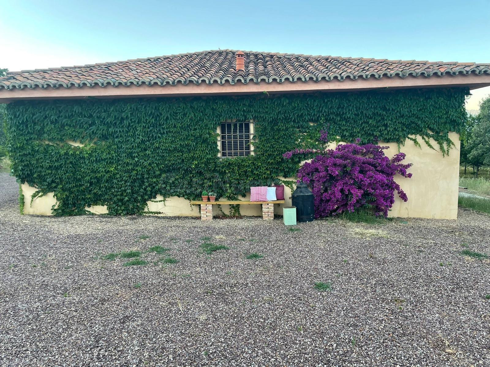 EXCLUSIVA VIVIENDA EN JARAIZ DE LA VERA A DOS HORAS DE MADRI - foto 2
