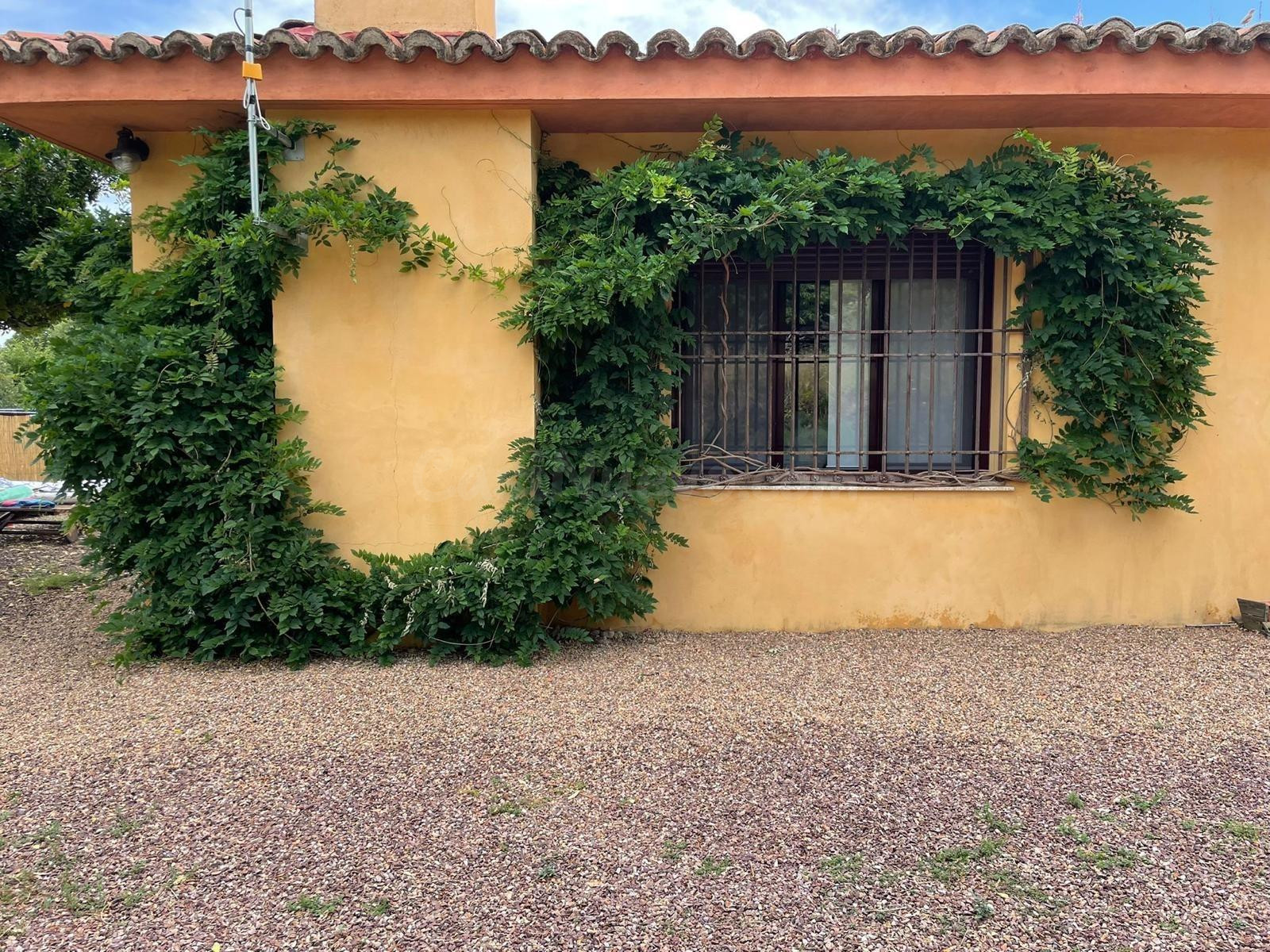 EXCLUSIVA VIVIENDA EN JARAIZ DE LA VERA A DOS HORAS DE MADRI - foto 3