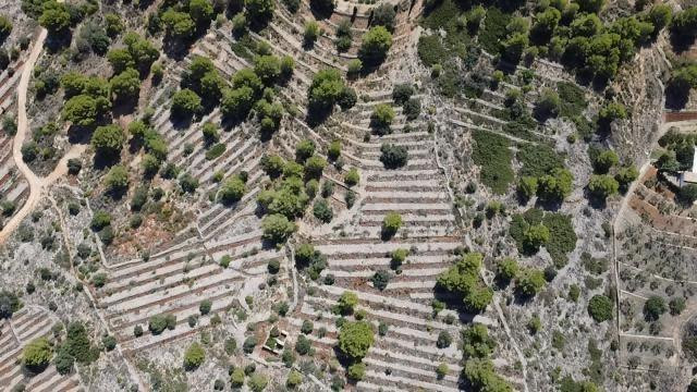 Parcela en Venta en Benissa – 33.673 m2 con Vistas al Mar y al Peñón