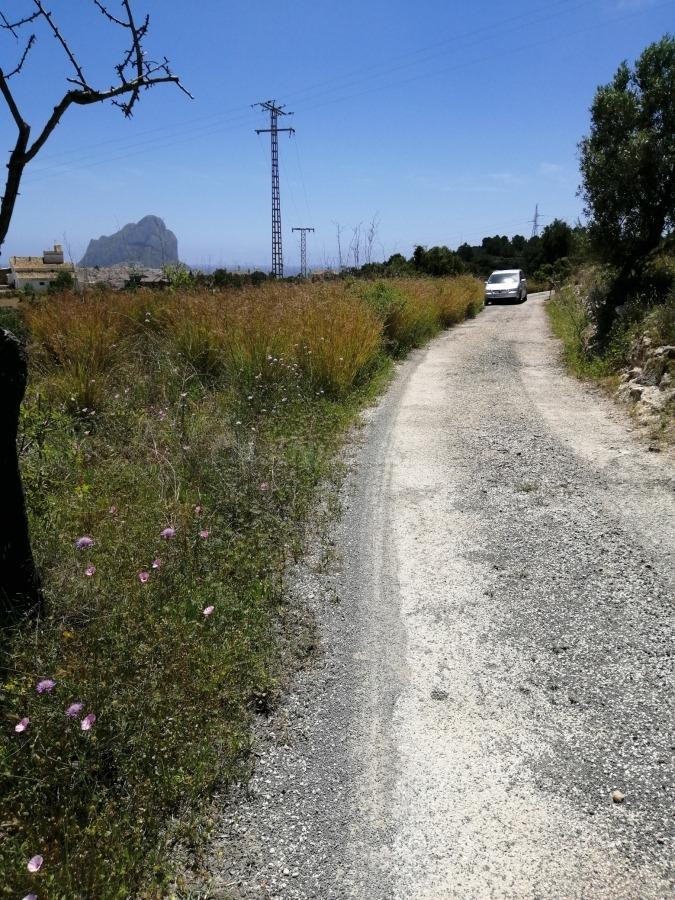 Parcela rústica en Calpe