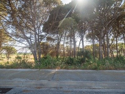 Terreno/s industrial/es de 800 m2