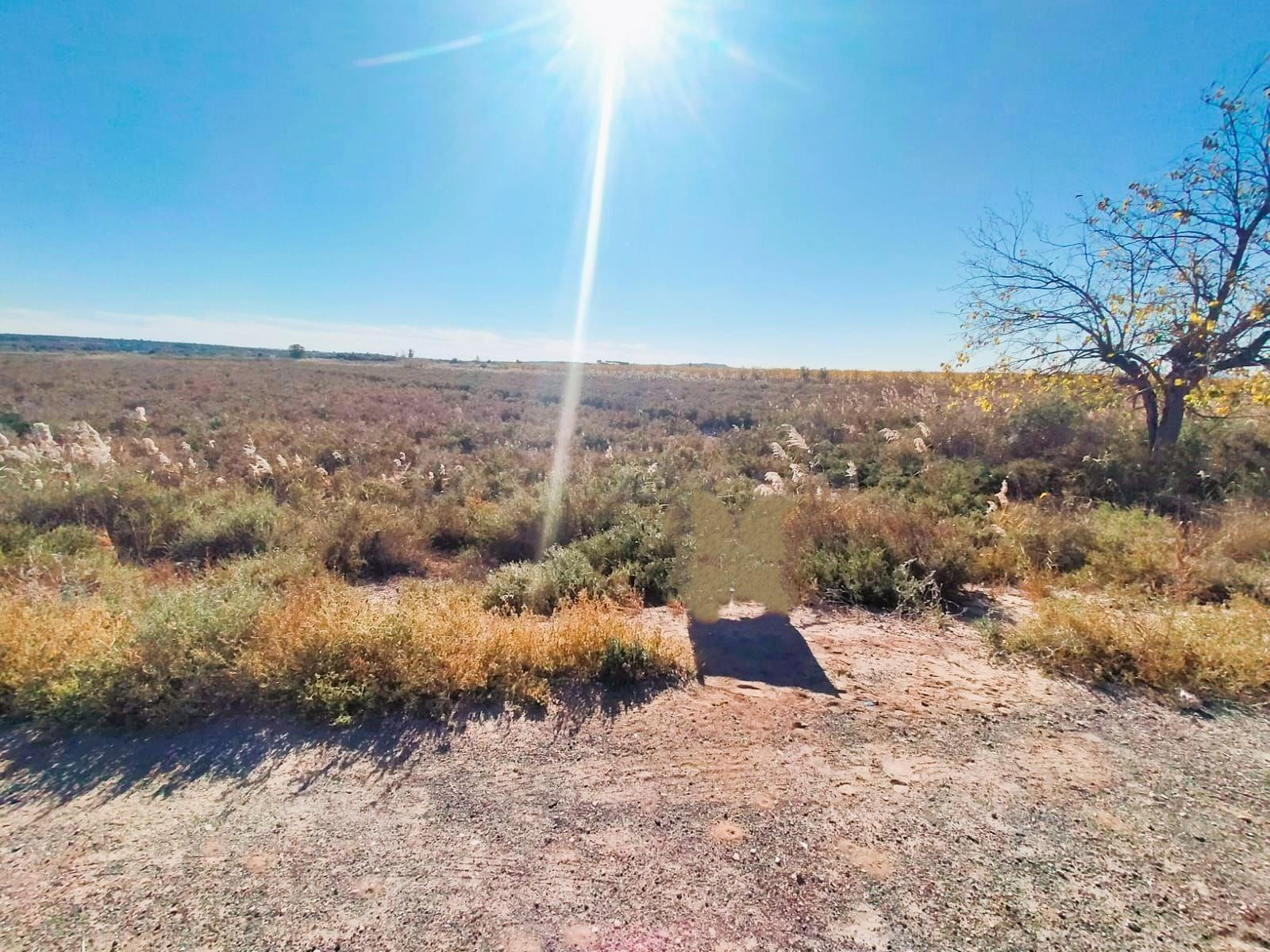 Terreno en Elche para cultivo
